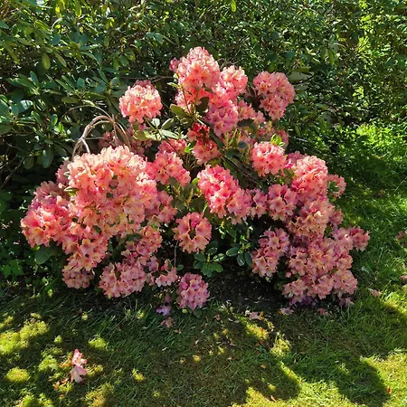 Nature With View By The Falster Coast *